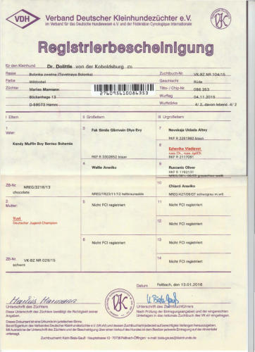 Stammbaum Donny